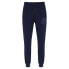 Фото #1 товара RUSSELL ATHLETIC AMP A30171 Tracksuit Pants
