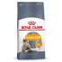 ფოტო #2 პროდუქტის ROYAL CANIN Hair And Skin Care Adult 4kg Cat Food