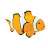 SAFARI LTD Clown Anemonefish Figure