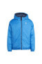 Фото #26 товара Куртка мужская Adidas Adicolor Reversible