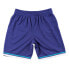 Mens Mitchell & Ness NBA ALTERNATE SWINGMAN SHORTS - HORNETS 94-95