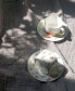 Фото #3 товара Language of Flowers Cups & Saucers - Set of 2