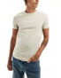 ASOS DESIGN 3 pack muscle fit t-shirts in multiple colours