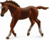 Фото #1 товара Фигурка Collecta Źrebię Thorughbred Foal Chesnut Collecta Жеребенок из породы Тороубред с грудным каштанового окраса (Конный)