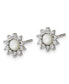 Stainless Steel Polished CZ Earrings