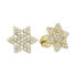 Beautiful yellow gold earrings Flake 239 001 00810