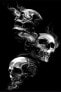 Фото #1 товара Teppich SKULL