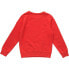 REPLAY SB2026.020.22739 sweatshirt