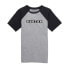 ფოტო #1 პროდუქტის BURTON Vault short sleeve T-shirt