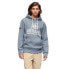 SUPERDRY Travel Postcard Graphic hoodie