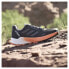 ADIDAS Terrex Agravic Flow 2 trail running shoes