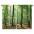 Фото #1 товара Fertiggardine Wald I (2er-Set)