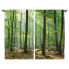 Фото #2 товара Fertiggardine Wald I (2er-Set)