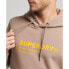 Фото #4 товара SUPERDRY Utility Sport Logo Loose hoodie