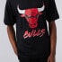 NEW ERA Chicago Bulls NBA Script Mesh short sleeve T-shirt