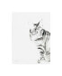 Фото #1 товара Aimee Del Valle Sadie Tiger Striped Cat Canvas Art - 27" x 33.5"