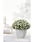 Antwerp Modern Indoor and Outdoor Planter, 12in