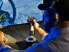 Фото #5 товара ThrustMaster F/A-18C Hornet HOTAS - Joystick - Back button - Home button - Mode button - Options button - Power button - Wireless - Black - 720 g
