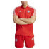 Фото #1 товара ADIDAS FC Bayern Munich 23/24 Short Sleeve Polo
