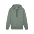 Puma Classics Small Logo Pullover Hoodie Mens Green Casual Outerwear 53559644