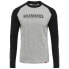 Фото #1 товара HUMMEL Legacy Blocked long sleeve T-shirt