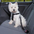 Фото #1 товара Trixie Szelki samochodowe dla psa XS