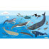 Фото #1 товара OCEANARIUM Cetaceans L Towel