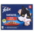 ფოტო #3 პროდუქტის PURINA NESTLE Felix Fantastic Country Flavors In Jelly 24x85g Wet Cat Food