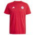 Фото #1 товара ADIDAS FC Bayern Munich DNA 24/25 short sleeve T-shirt