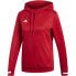 Фото #1 товара Adidas Team 19 Hoody W DX7338 football jersey