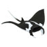 SAFARI LTD Manta Ray Sea Life Figure