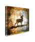 lightbox Journal 'High Country Deer' Canvas Art - 35" x 35" x 2"