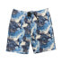 Hurley Men's One and Only Gradient Swim Board Short