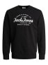 Фото #1 товара Спортивный свитшот Jack & Jones JJFOREST Standard Fit 12248002 Черный