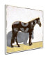 'Equestrian Pinto' Horse Canvas Wall Art, 20x20"