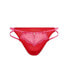 Plus Size Liv Brazilian Panty