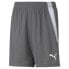 PUMA TeamLiga Shorts