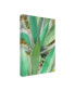 Фото #2 товара Alan Blaustein Agave Succulent #3 Canvas Art - 19.5" x 26"