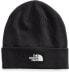 Фото #1 товара THE NORTH FACE Men's hat hat nf0a3fnt