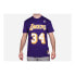 Фото #1 товара Mitchell & Ness BNN3CW19045LALPURP96SON