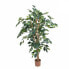 Фото #2 товара Искусственные цветы MICA Decorations Birkenfeige файк Ficus