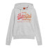 Фото #1 товара SUPERDRY Tonal Vl Graphic hoodie