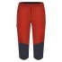 Фото #1 товара Montura Spitze 3/4 Pants