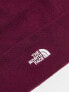 The North Face Norm beanie in burgundy