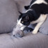 Фото #4 товара игрушка для котов Star Wars Серый PET