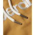 SUPERDRY Metallic Core Logo hoodie