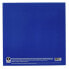 Serato 12" Single Control Vinyl-Blue