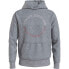 Фото #1 товара TOMMY HILFIGER Monotype Roundall hoodie
