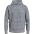 TOMMY HILFIGER Monotype Roundall hoodie