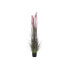 Фото #1 товара Декоративное растение DKD Home Decor Розовый Ткань Сталь Пластик PVC (40 x 40 x 180 cm)